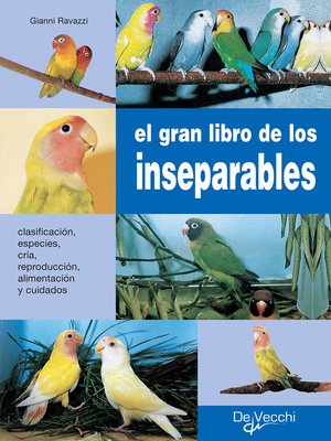 cover image of El gran libro de los inseparables